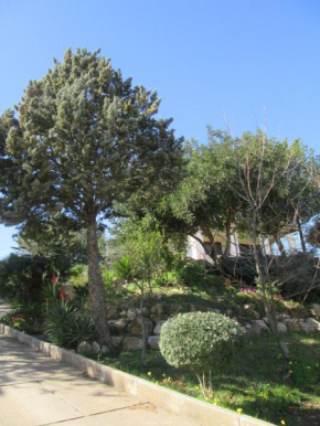 My Country House